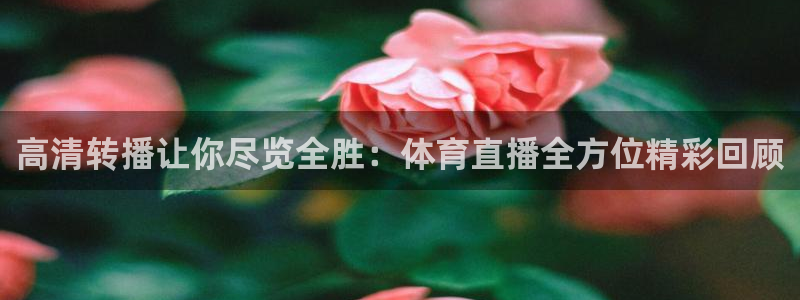 熊猫体育直播nba：高清转播让你尽览全胜：体育直播全方位精彩回顾