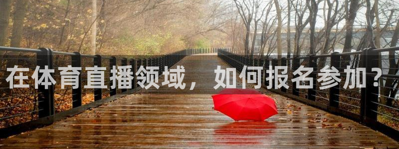熊猫直播平台：在体育直播领域，如何报名参加？