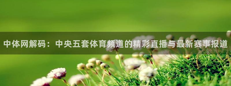 熊猫体育直播平台新v1版.官方站.org：中体网解码：中央五套体育频道的精彩直播与最新赛事报道