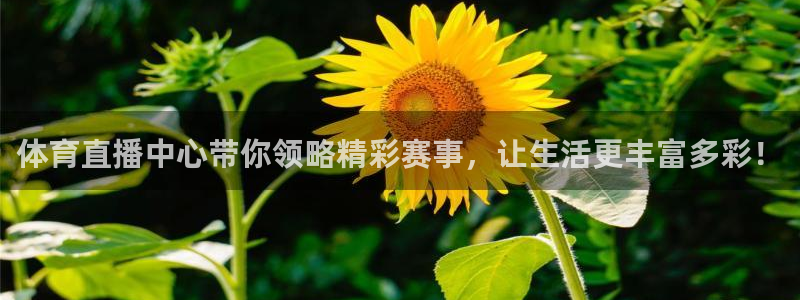 熊猫怎样直播：体育直播中心带你领略精彩赛事，让生活更丰富多彩！